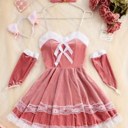 Sexy Lingerie Sets for Women, Pink Cat Four-piece Set With Gloves, Collar and Hairpin.