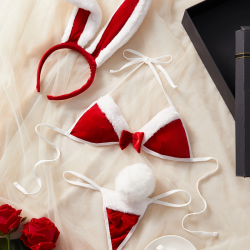 Sexy Lingerie Sets for Women Classy, Two-piece Set With Rabbit Hairband.